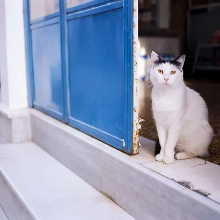 Endearing Naxos Quadruple Private Balcony Center *